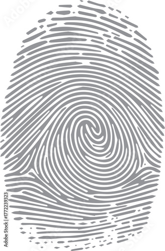 Black fingerprint pattern on white background for unique identity and forensic identification as a biometric security symbol