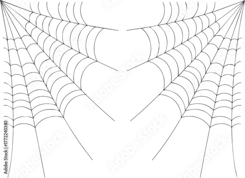 Vector illustration of a spider in a web, hand-drawn design with pencil art and nature macro detail