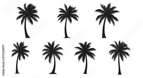 Collection of black palm tree silhouettes, a vector illustration of tropical plant shapes