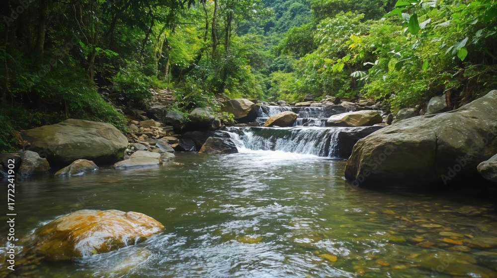 Fototapeta premium Tranquil River Flowing Through Lush Green Forest Landscape