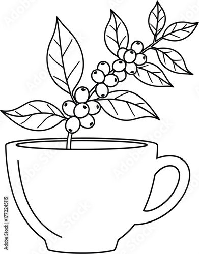 Coffee plant coffee cup leaves berries drawing line art minimal caffeine drink
