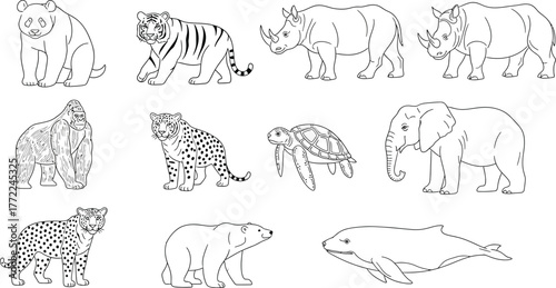 Animals wildlife mammal nature zoo safari conservation endangered species art