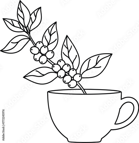 Coffee cup plant branch leaves berries caffeine drink aroma beverage hot art
