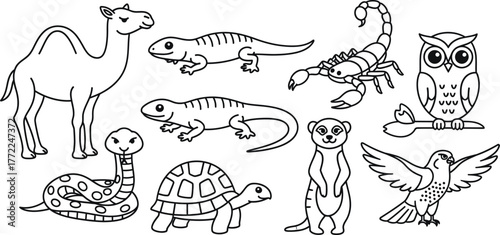 Camel lizard scorpion owl snake turtle meerkat hawk desert animals zoo art