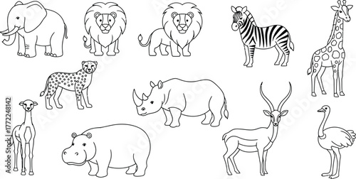 African animals wildlife safari elephant lion zebra giraffe cheetah rhino zoo