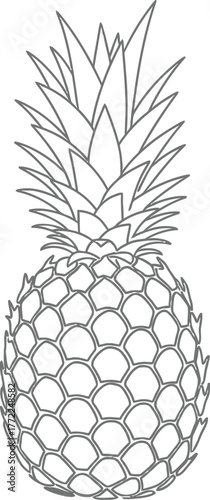 Pineapple fruit tropical food healthy sweet summer exotic vitamin fresh diet