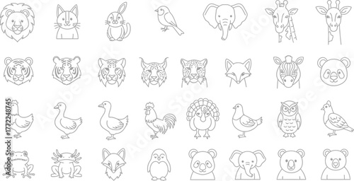 Animal silhouettes lion tiger elephant giraffe fox panda bird chicken duck owl