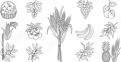 Fruits vegetables wheat corn basket grapes tomatoes bananas olives pineapple food