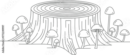 Tree stump mushrooms forest nature wood growth fungi woodland environment flora