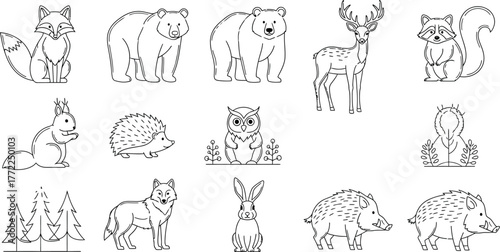 Forest animals wildlife nature fox bear deer raccoon squirrel hedgehog owl wolf