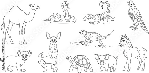 Animals camel snake scorpion falcon lion fox dog turtle pig horse lizard line art