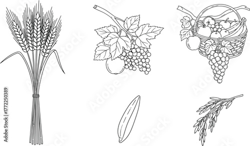 Wheat grapes fruit basket olive branch harvest agriculture food nature art