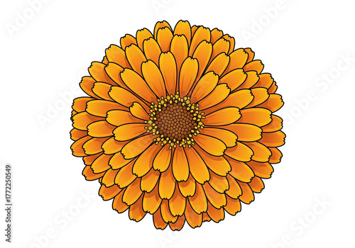 crane, peony, png, transparent, vector, illustration, pink, sunrise, japan, bird, floral, mountain, cherry, flower, flying, asian, art, decor, clipart, graphic, icon, spring, bloom, petal, nature, ori