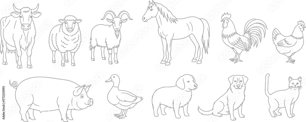 Fototapeta premium Farm animals livestock cow sheep goat horse rooster hen pig duck dog cat line