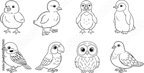 Bird chick duck penguin sparrow parrot owl pigeon animal wildlife nature cute art