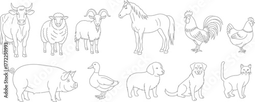 Farm animals livestock cow sheep goat horse rooster hen pig duck dog cat line