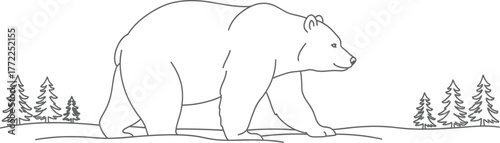 Bear wildlife animal nature forest mammal wilderness grizzly woods trees outline