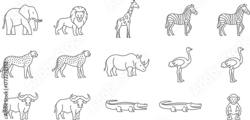 African animals wildlife safari elephant lion giraffe zebra cheetah rhino