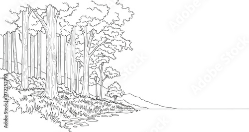 Forest trees nature landscape woods woodland wilderness outdoors scenic lineart