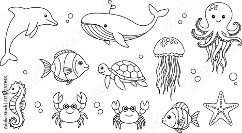 Sea animals ocean life marine dolphin whale fish turtle crab octopus starfish