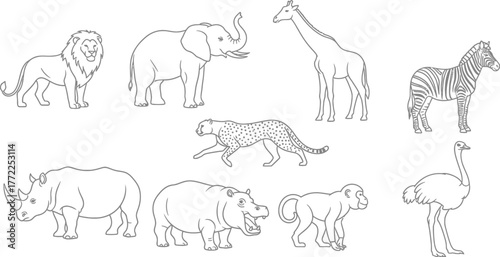 African animals wildlife safari lion elephant giraffe zebra cheetah rhino zoo