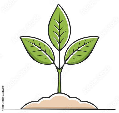 Small green plant with three leaves growing from a brown soil mound, fresh sprout illustration