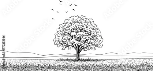 Tree landscape nature field birds sky outdoors drawing sketch illustration art
