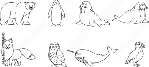 Arctic animals polar bear penguin walrus fox owl narwhal puffin wildlife zoo