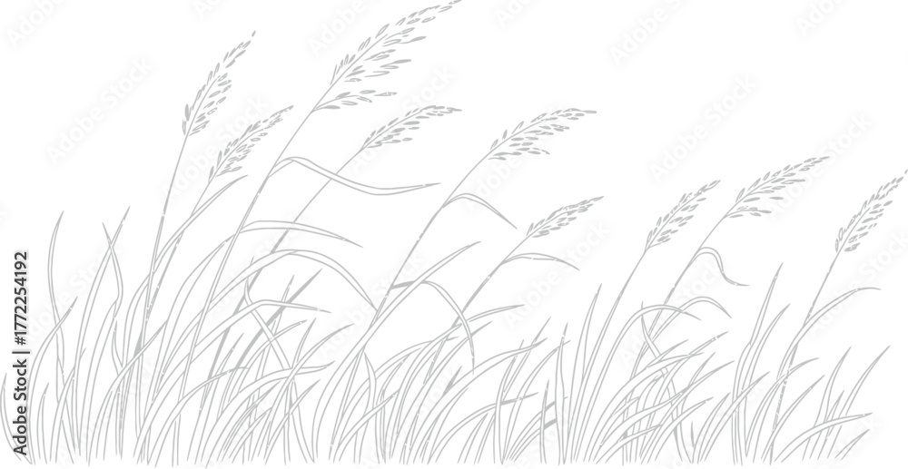 Fototapeta premium Grass field nature summer plant wind meadow agriculture rural landscape farm