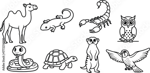 Camel lizard scorpion owl snake turtle meerkat bird desert animals wildlife