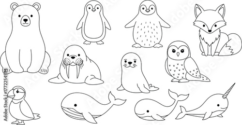 Arctic animals polar bear penguin walrus seal fox owl puffin whale narwhal outline