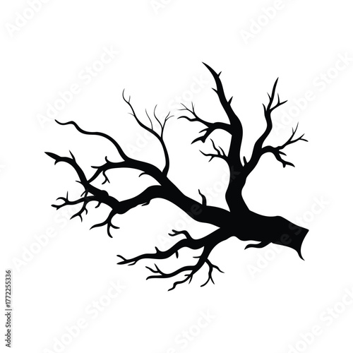 Silhouette of a Bare Tree Branch Against a White Background, Dark and Sparse, dead willow branch silhouette vector illustration