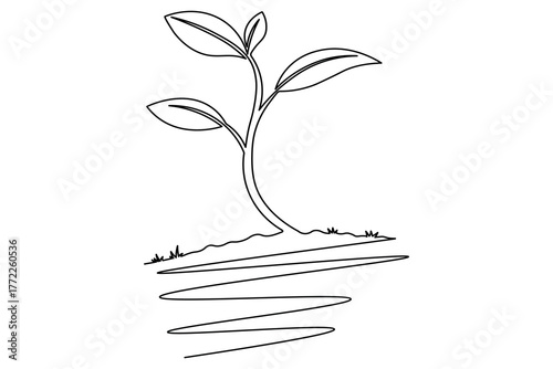 Growth plant single line art minimalist design on white background