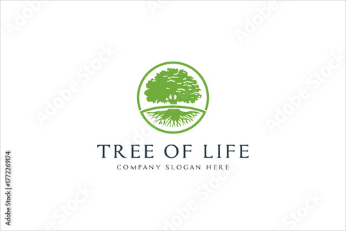 Root Leaf Family Tree of Life Oak Banyan Maple Stamp Seal Emblem Label logo design vector