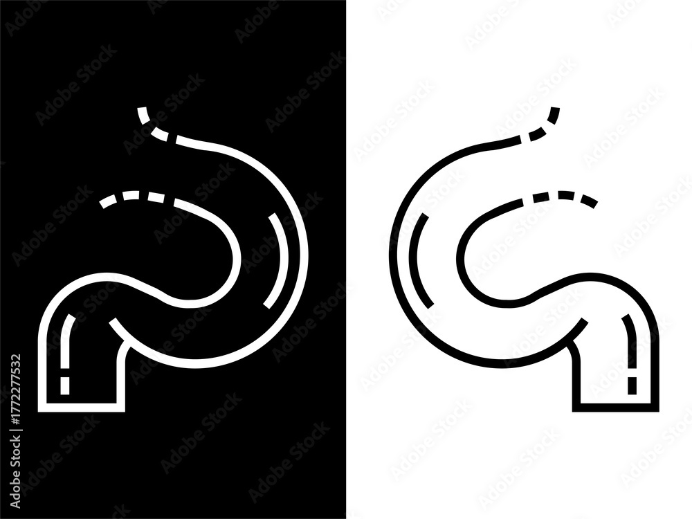 Obraz premium The Duodenum in black and white variant design