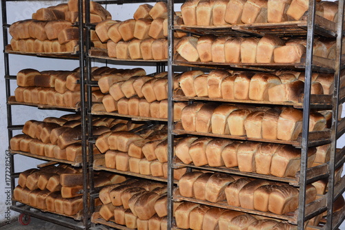 Freshly baked bread on pallets in bakery ready for sale and delivery
