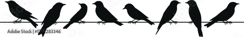 Vector Silhouette of Birds Perching on a Horizontal Wire