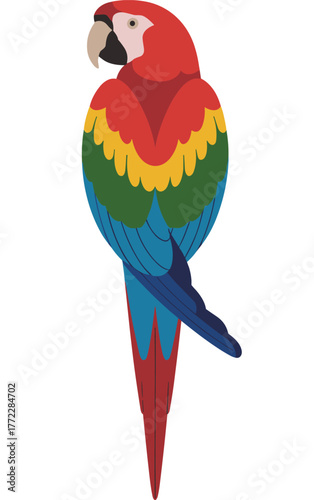 Vibrant Macaw Parrot Vector Illustration with Colorful Feathers