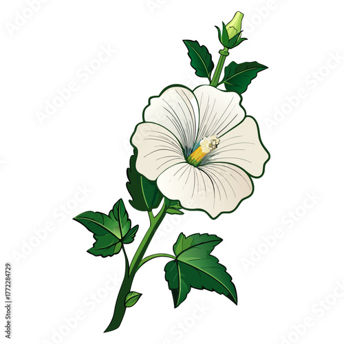 hollyhock pure white on white background 
