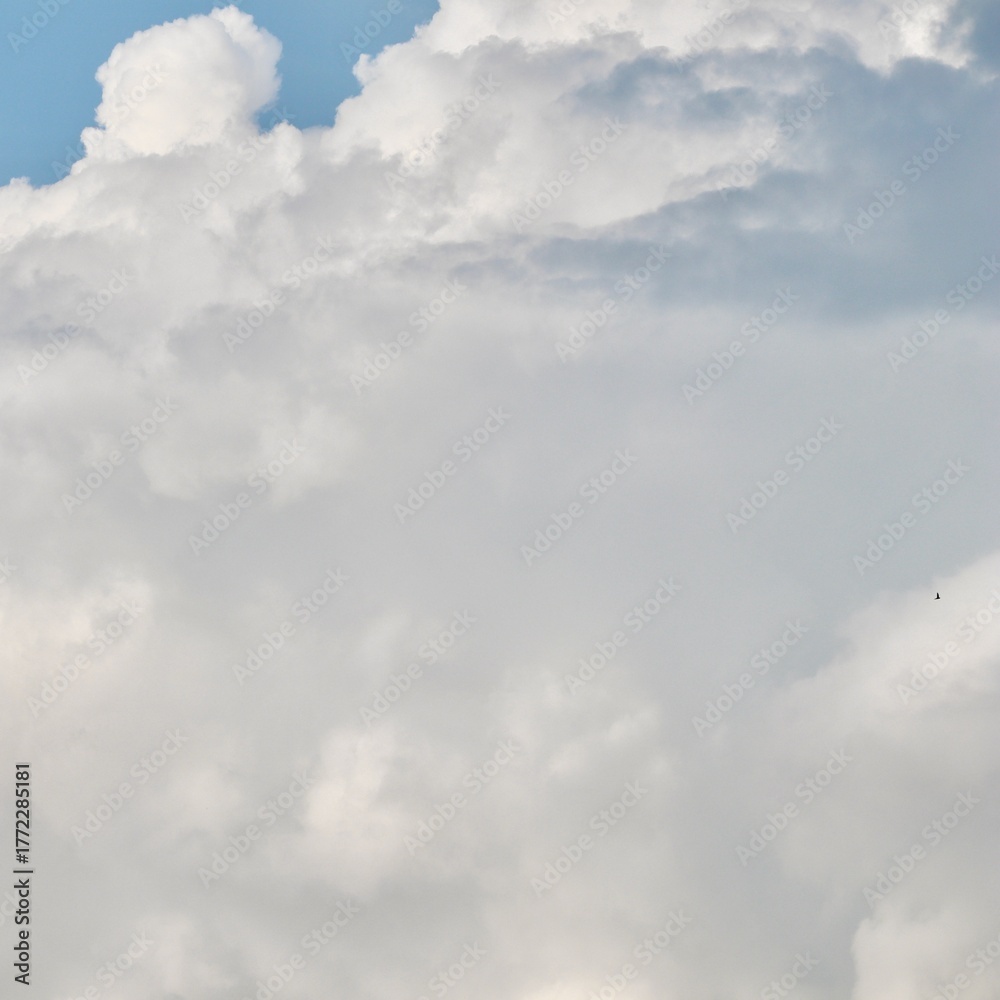 Obraz premium A detailed, closeup view of dense, towering cumulonimbus clouds, showing various shades of white and grey, suggesting heavy weather and dramatic atmospheric depth.