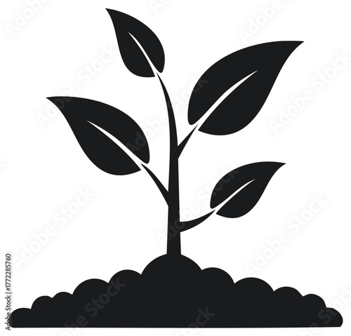 Young Plant Growing Icon in Soil with Four Leaves Silhouette