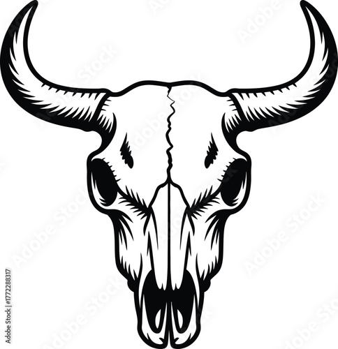Detailed stylized bull skull with large horns and intricate line art on white vector Illustration