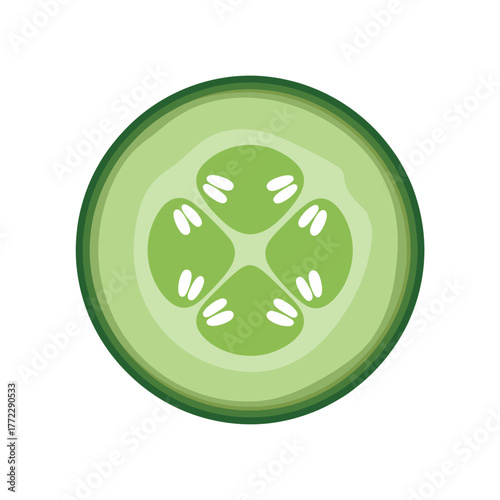 Cucumber slice cross section vector isolated illustration Healthy vegetable element fresh green food
