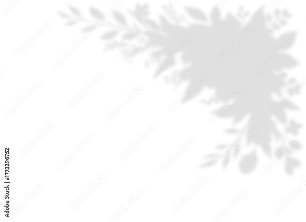 Obraz premium Dense Tropical Foliage Shadow Overlay Corner Effect on Transparent