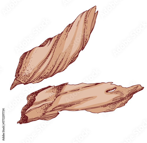 Jerky meat pieces sketched vector