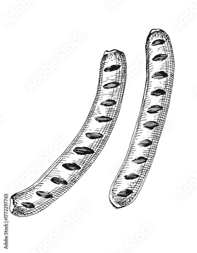 German bratwurst sausages vector illustration