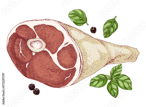 Raw pork knuckle leg vector