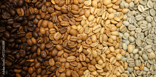 Canvas-taulu Coffee beans from green to dark roast