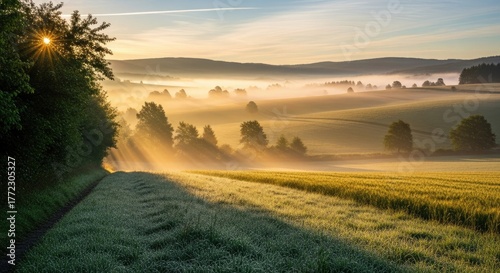 Golden sunbeams pierce morning mist over rolling hills and vibrant fields, creating a breathtaking serene landscape perfect for tranquility and nature themes