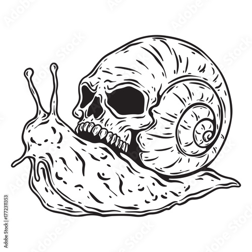 illustration art hand drawn black and white snail skull tattoo and t-shirt design